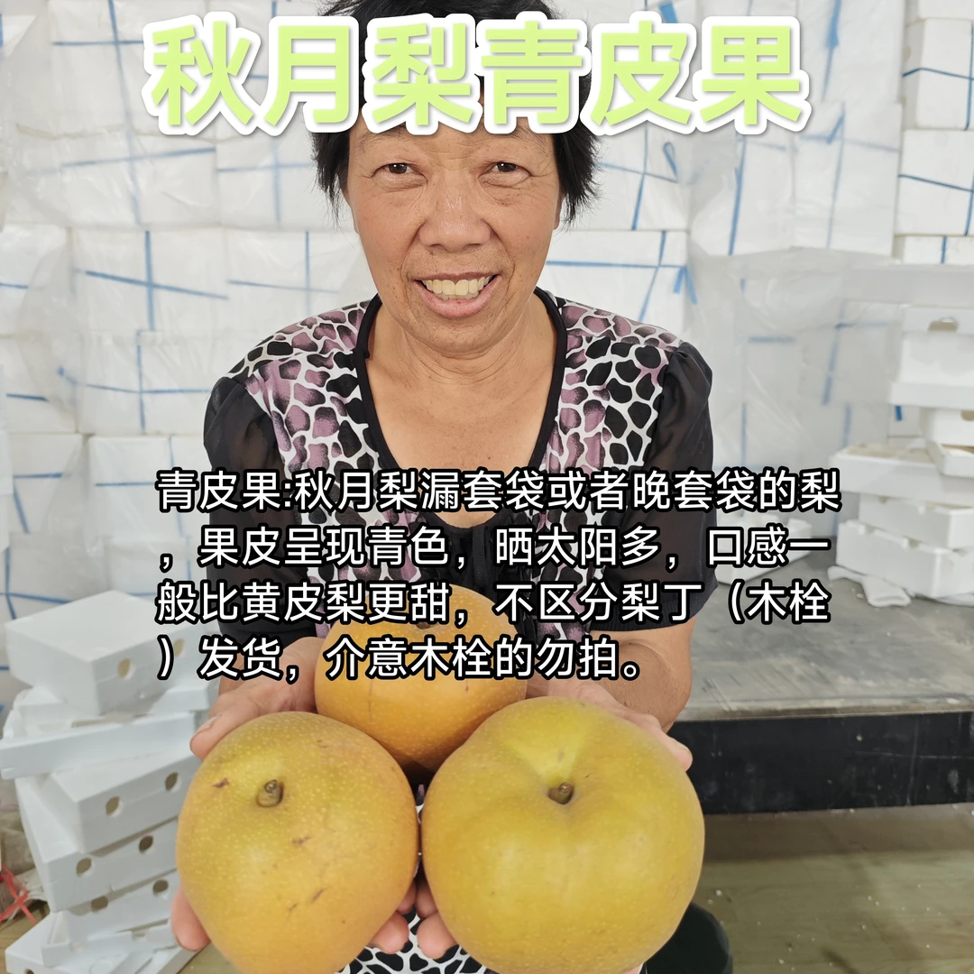 【秋月梨三叔】河南青皮秋月梨微次果4.5斤起现货