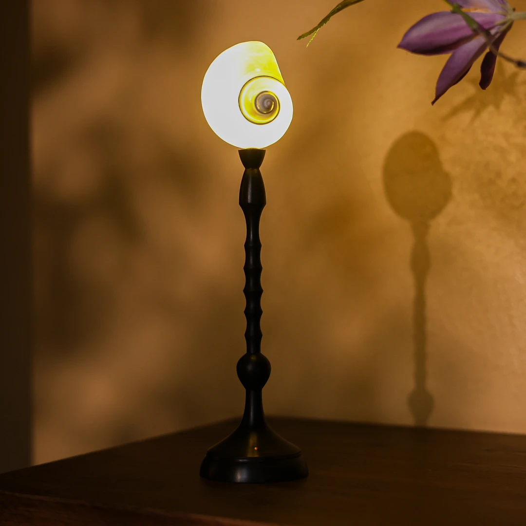 【斋居】M号月光贝壳灯-直径70mm高280mm-零配（N00311）