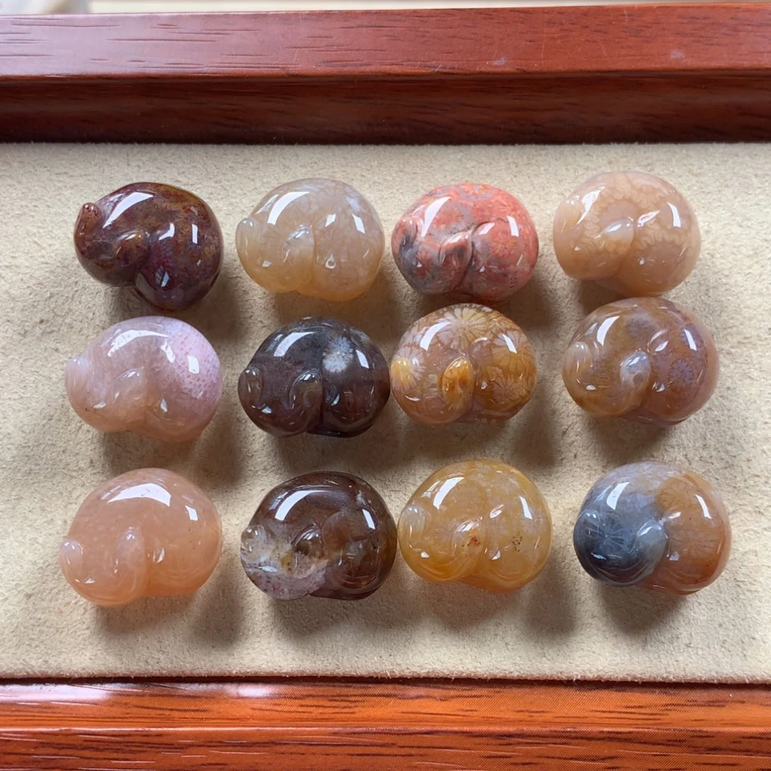 未镶嵌小狐狸漏200/组。29硅化珊瑚（珊瑚玉）