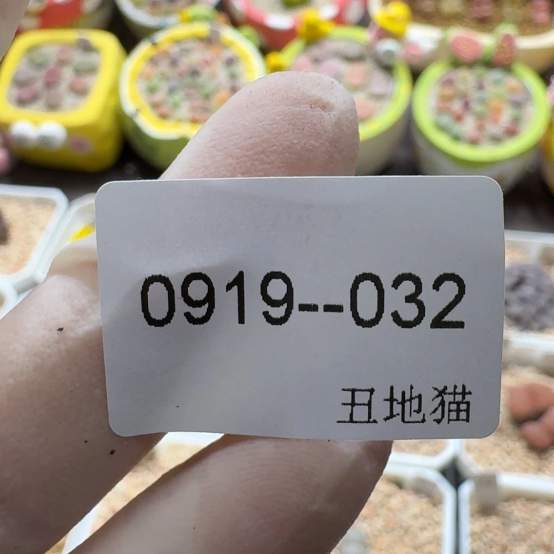 莹***0919-032卷卷卷卷卷