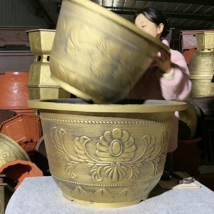 圆盆古铜五零六个