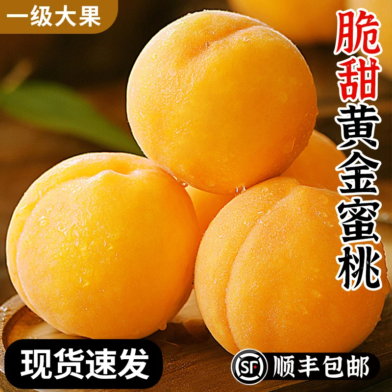 【顺丰包邮】正宗黄金蜜毛桃脆甜多汁现采现摘一桃两吃新鲜应季水果