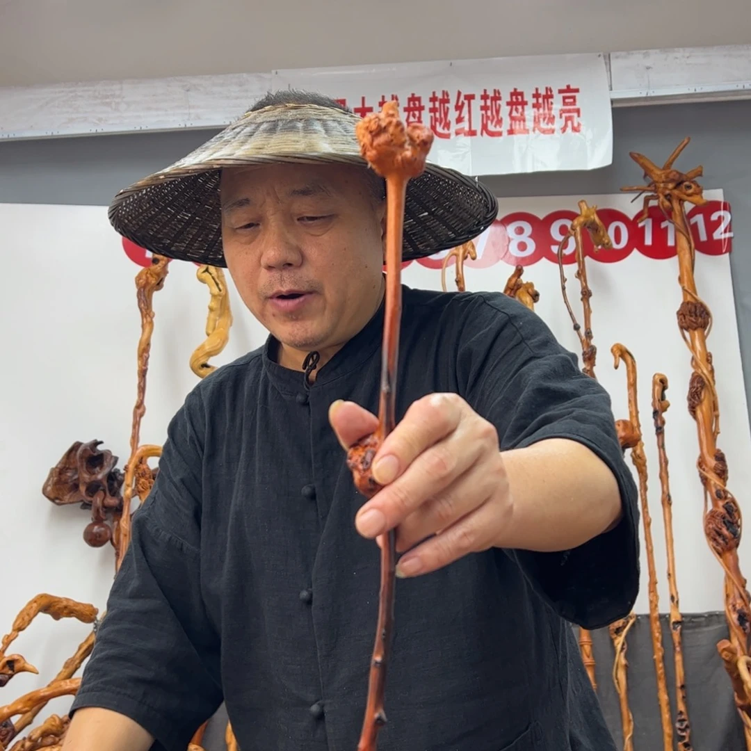 黑果木其他黑果木170