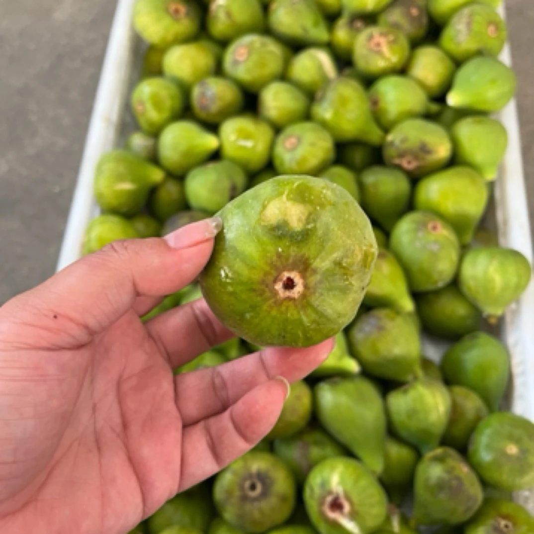 威海无花果两斤18.9