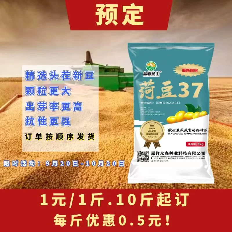【订荷豆37】双国审高产优质品种大豆抗旱抗涝抗倒伏大颗粒高蛋白