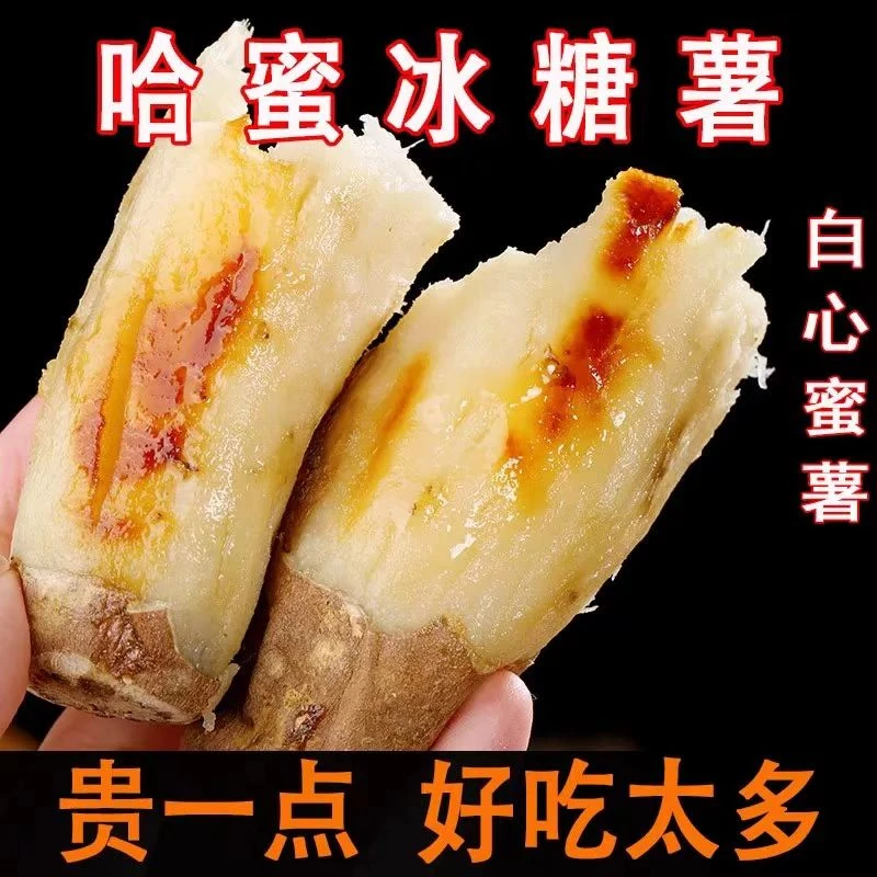 山东哈密冰糖心白薯产地直发3/4.5斤白心番薯沙地糖心奶油烤蜜薯