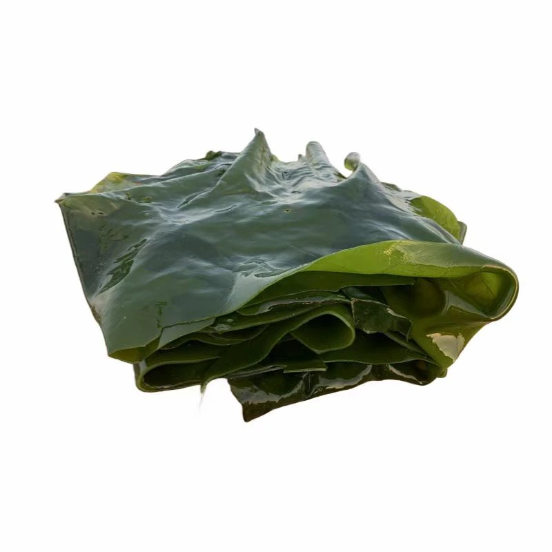 海带（550g-750g）