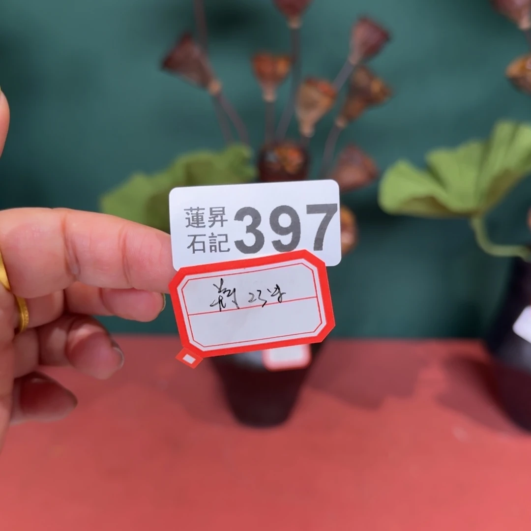 渔***涓核桃木/黑胡桃（胡桃木）397