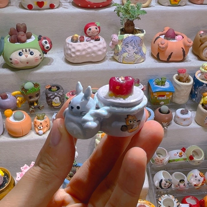 079高端多肉带盆土一套31