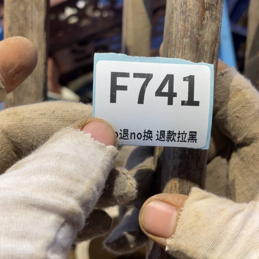明***风瓷片表弟链接火爆热卖热卖