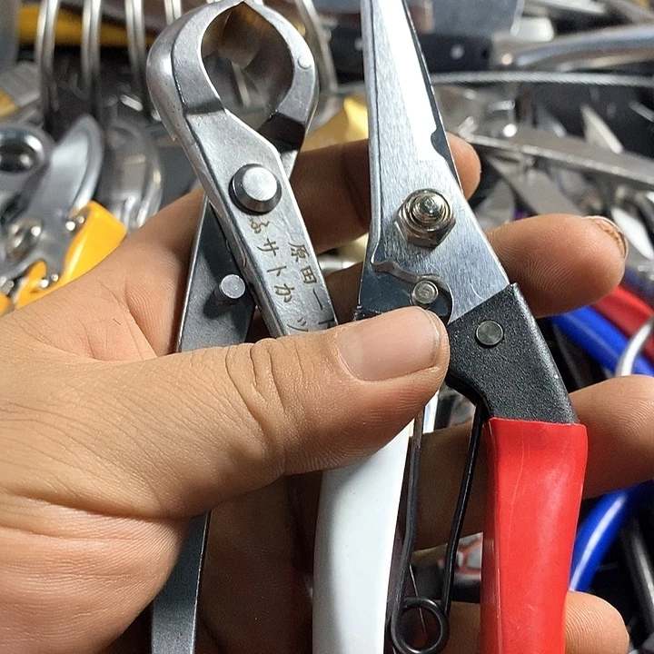 大哥你好啊好吗今天晚上