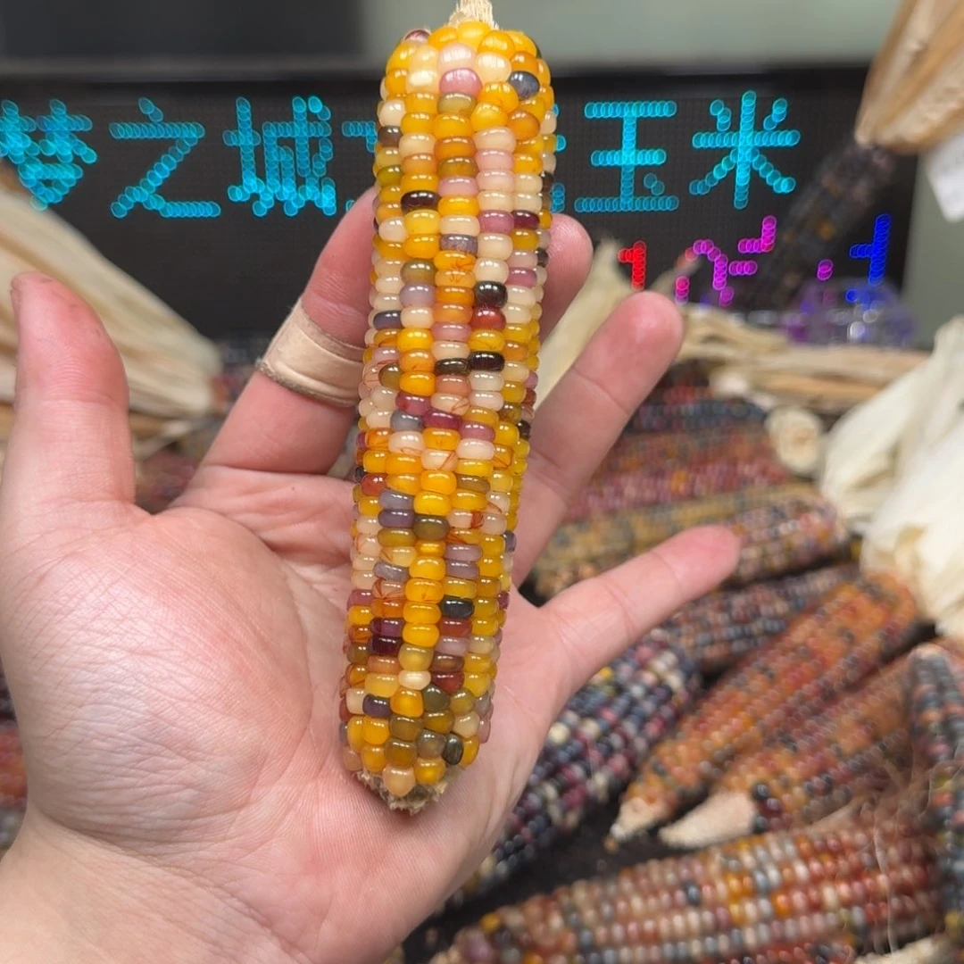 柏香籽/百香籽吊坠ʚ**星
