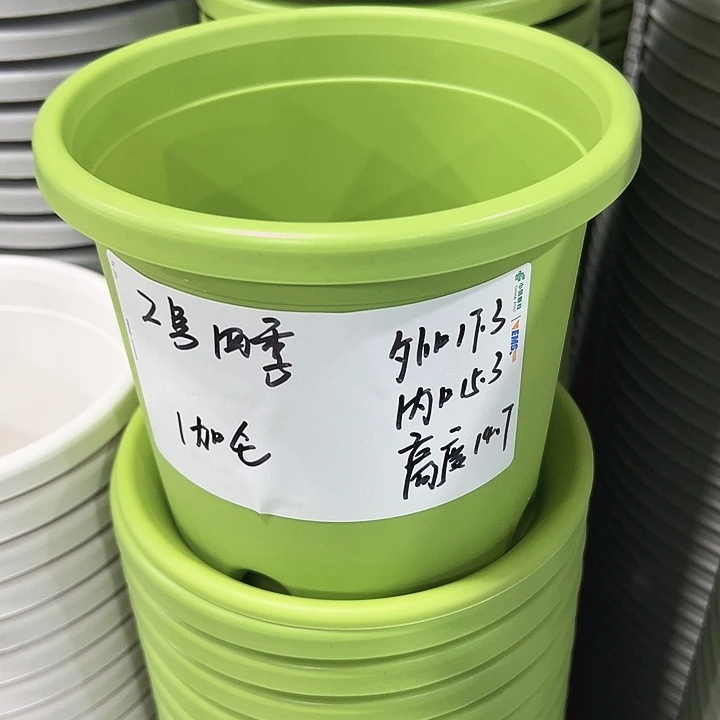 正品2号四季口17.3高14.7果绿无托10只