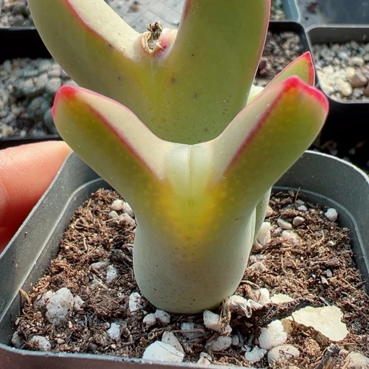 130干货，1111111111111