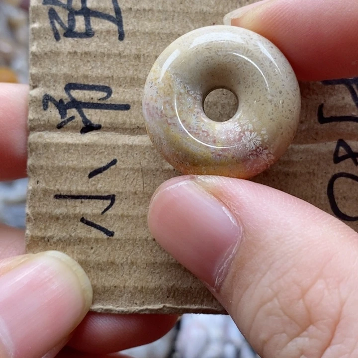 硅化珊瑚（珊瑚玉）颈饰未镶嵌