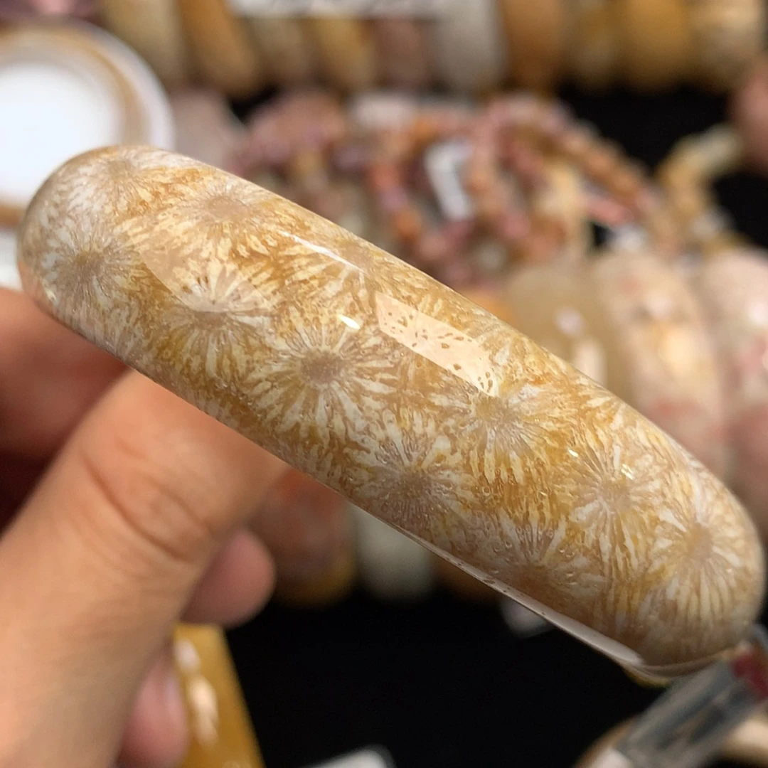 【闪购商品】硅化珊瑚（珊瑚玉）手镯未镶嵌59