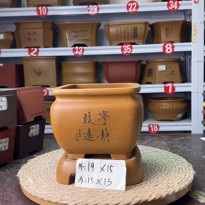 紫砂花盆蛇年大吉