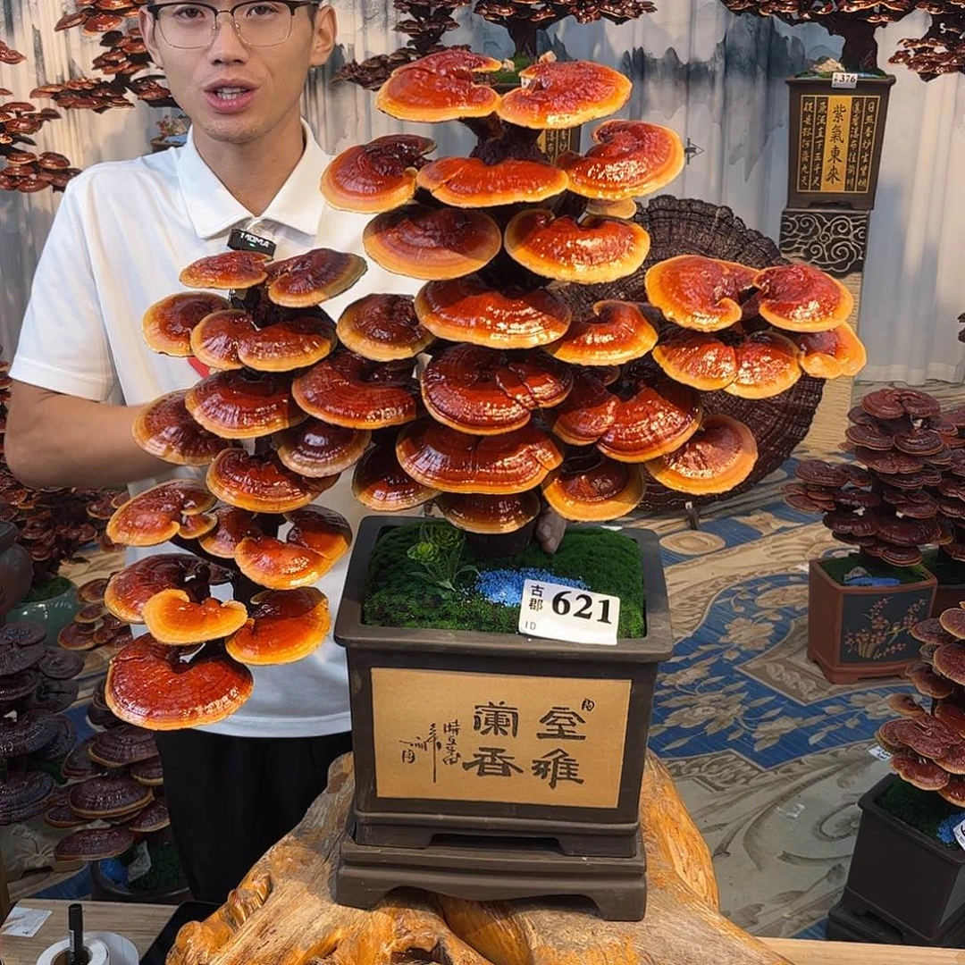全部花朵8888888888888