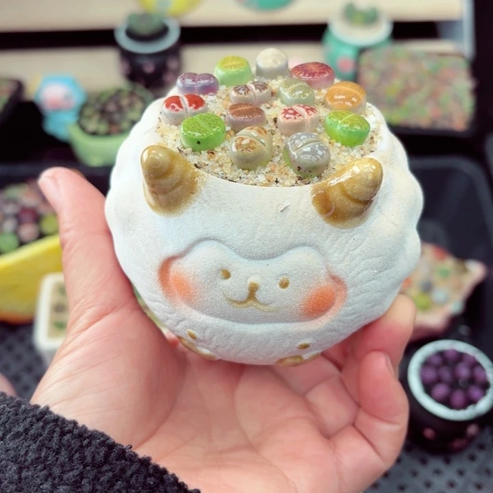 659零下地区记得拍保温箱