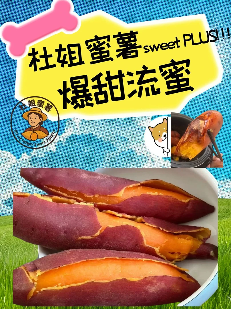 【杜姐农场直供  只做精品红薯】杜姐代言 正宗东北沙土地种植