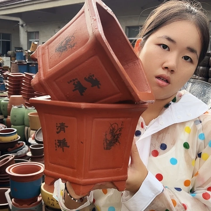 25红清雅六方花盆花盆×2