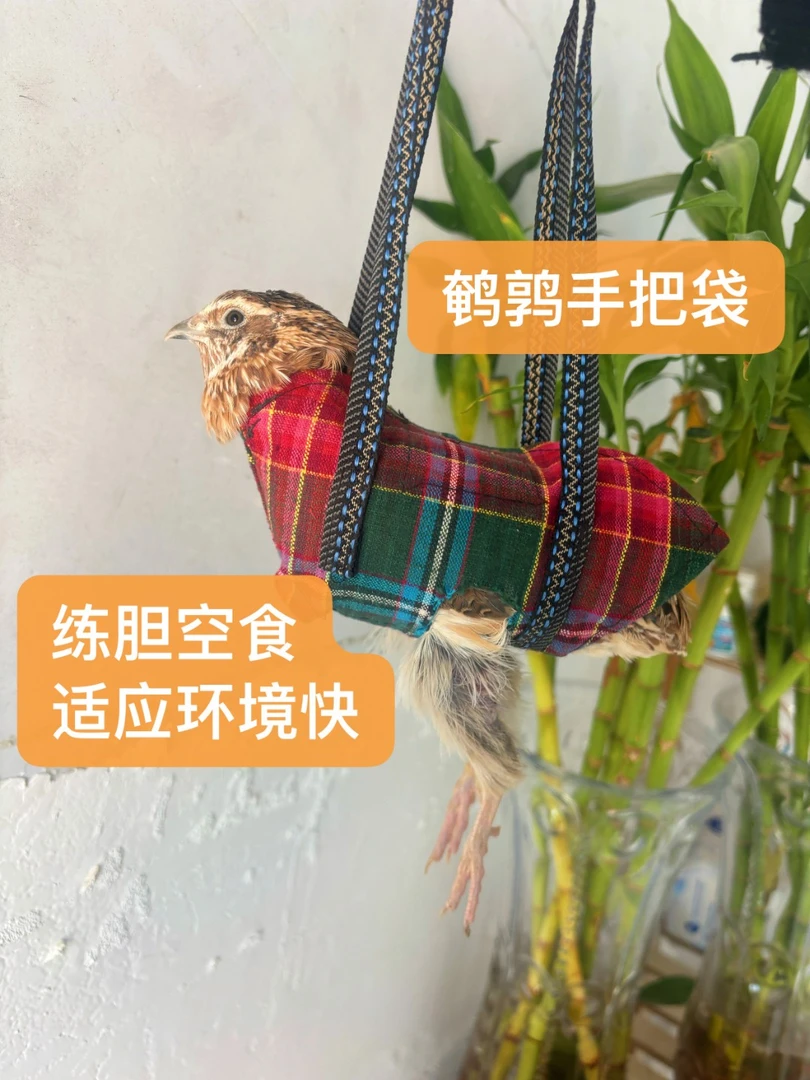 室外可用的鹌鹑手把袋可手提方便练胆