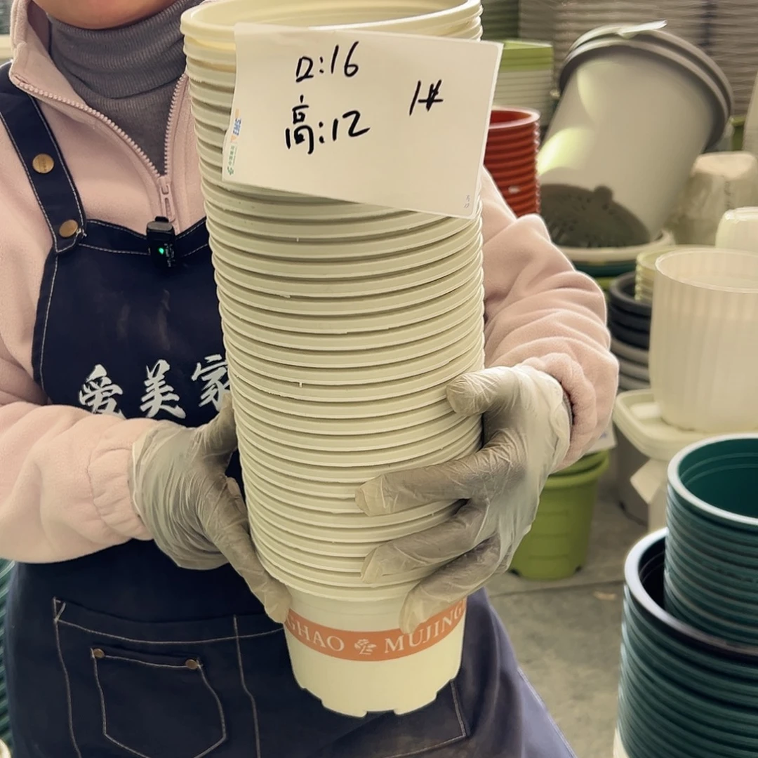 瑕疵矮胖1#米白色20个无托