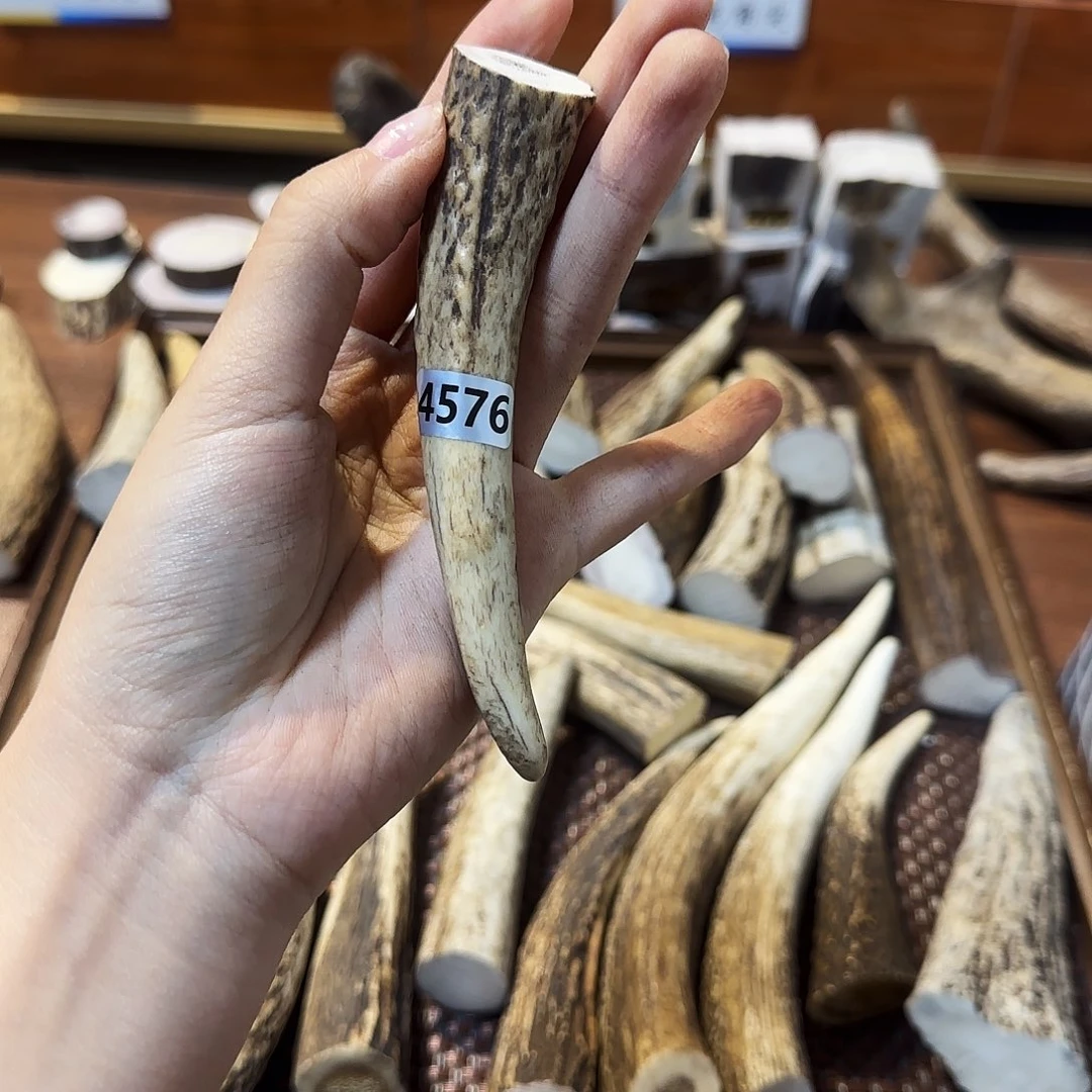 鹿骨手串/手链4576梅花鹿尖