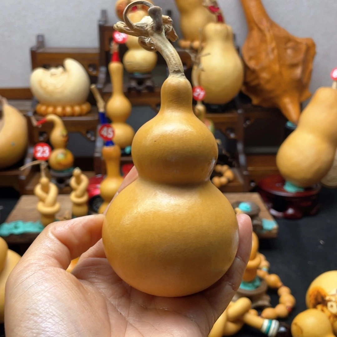 Q*大自然的秘密是什么啊哈哈我