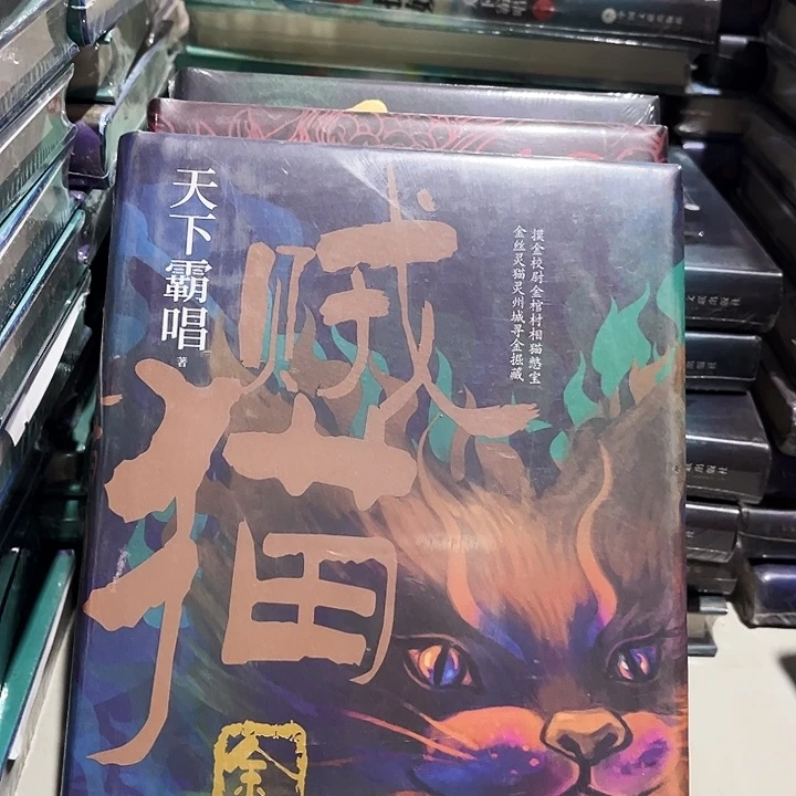 贼猫全新精装一本