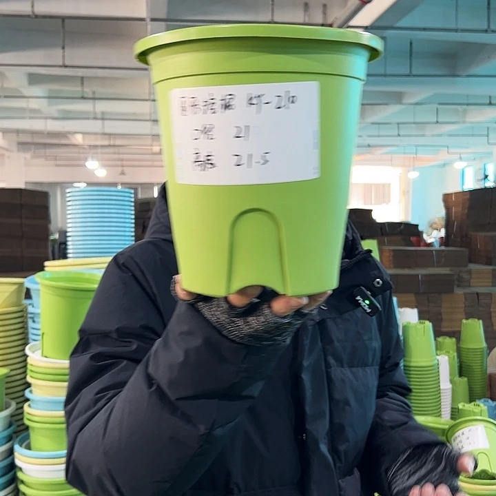 正品圆控口21高21果绿无托5只