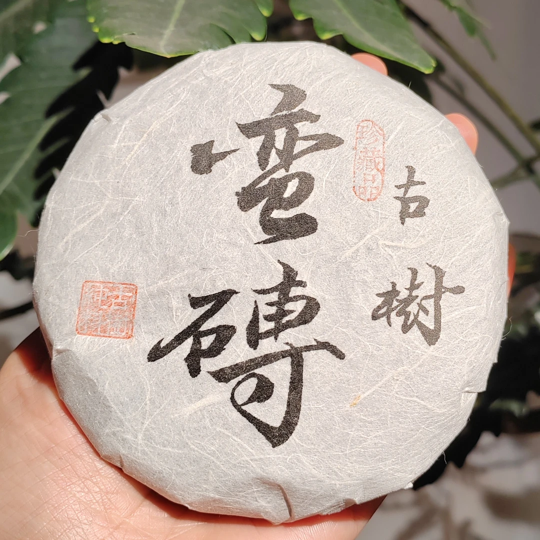 2023年蛮砖古树普洱生茶 100克