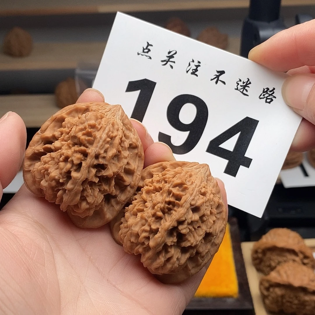 核桃41满天星 194