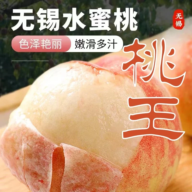 【白凤】正宗无锡水蜜桃8-9两6只礼盒装夏季新鲜应季水果香甜爆汁