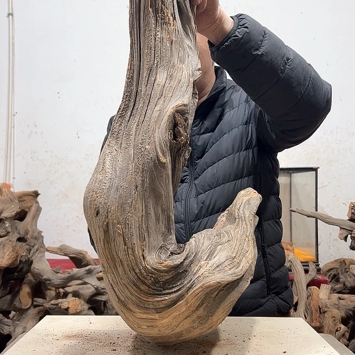 柏木魔**师我们的生活是一场