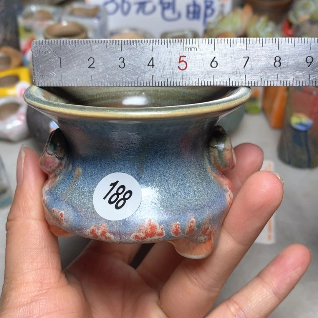 拍5送一个小礼物