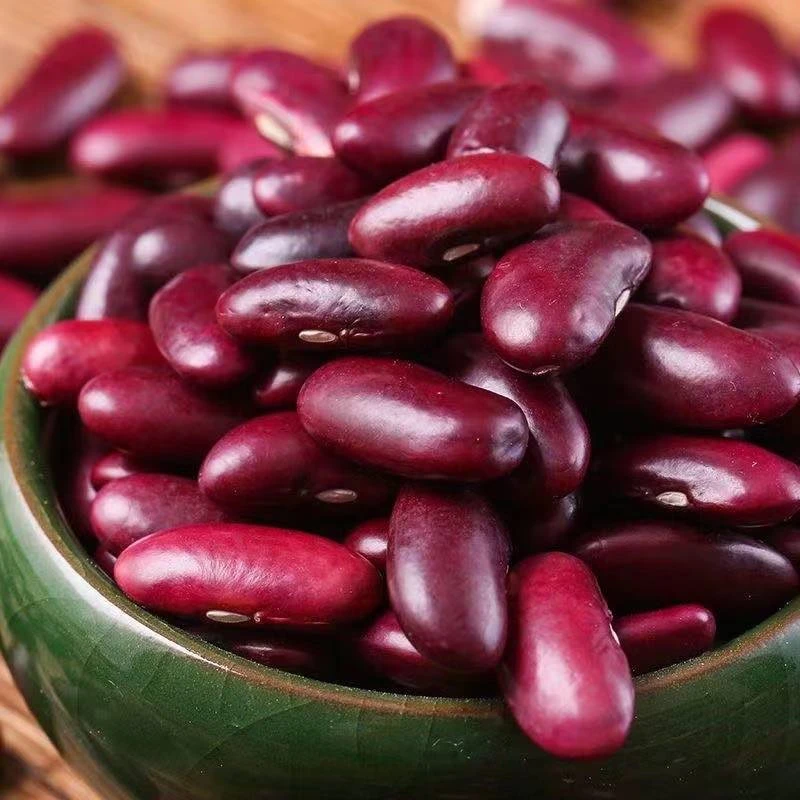 云南新货红腰豆大红豆农家自种五谷杂粮可煲汤煲粥