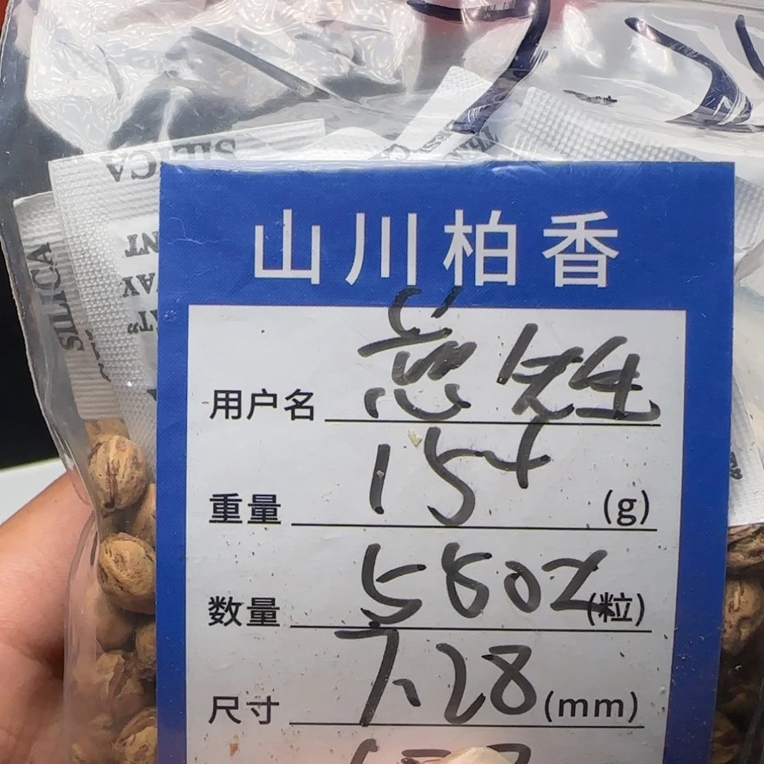 ****生吊坠柏香籽/百香籽