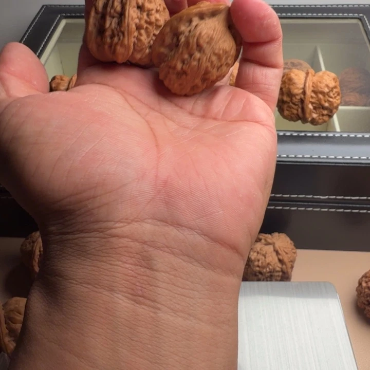 *****桃核吊坠赤龙 全品无修