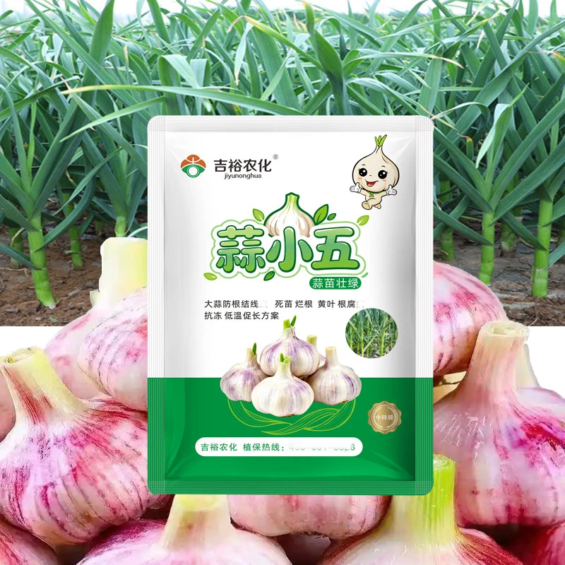 蒜小五大蒜专用套餐黄叶干尖死棵烂根抗冻根线防冻剂水溶肥
