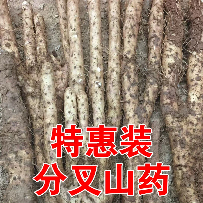 特惠装仅限直播间购买