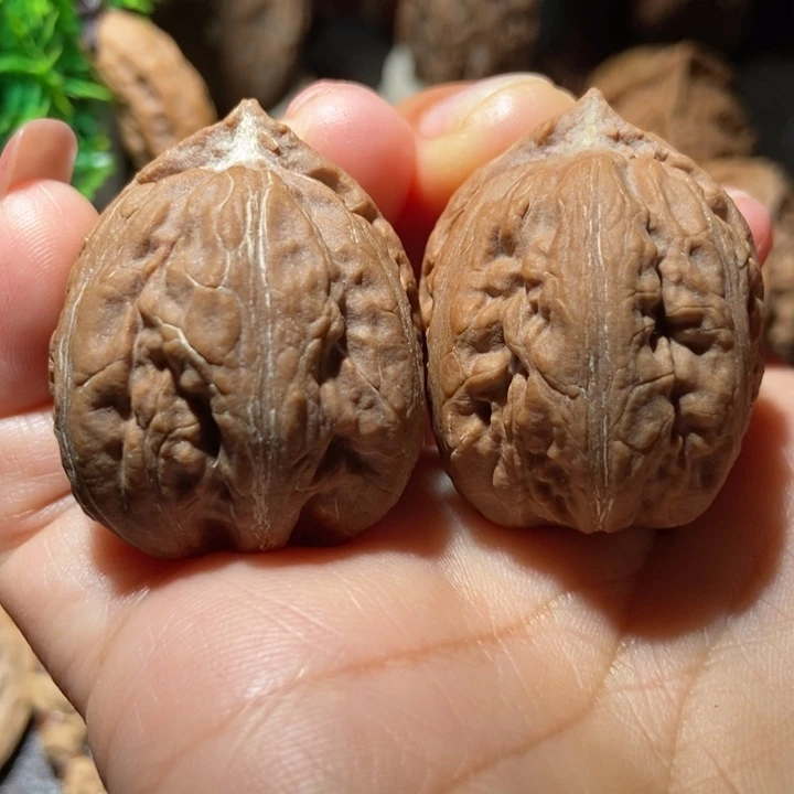 把件文玩核桃东北楸子小雪10