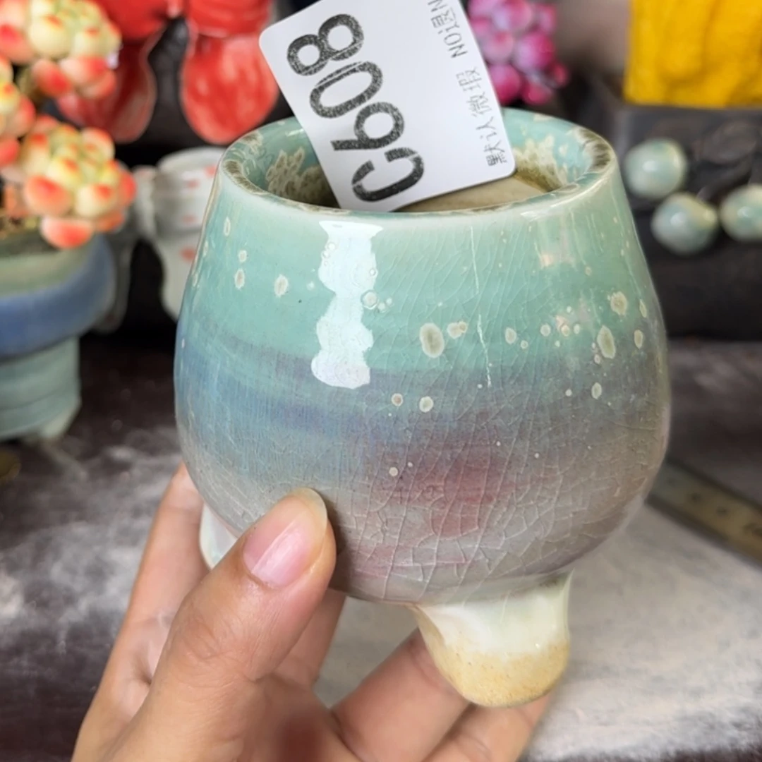重庆小燕子欢迎那家608