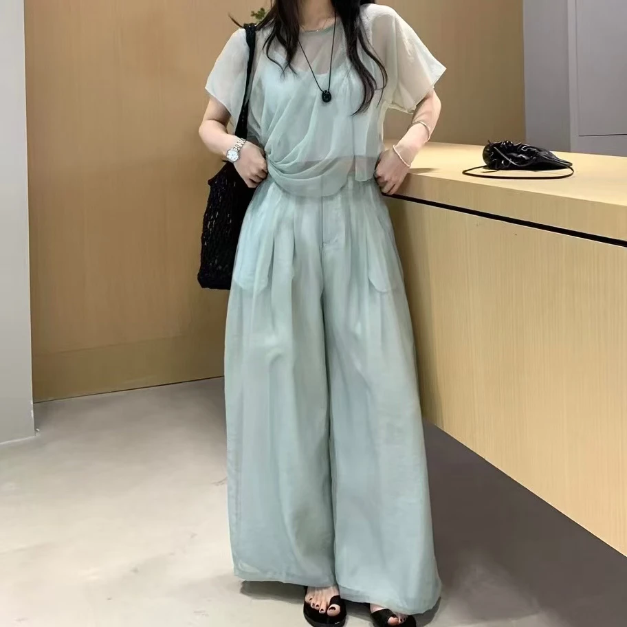 （直播间下单备注编号）2025春夏韩系简约网纱上衣+阔腿裤