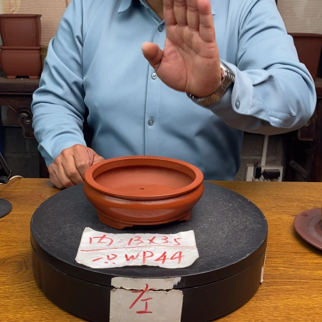 紫砂货号一只WP44