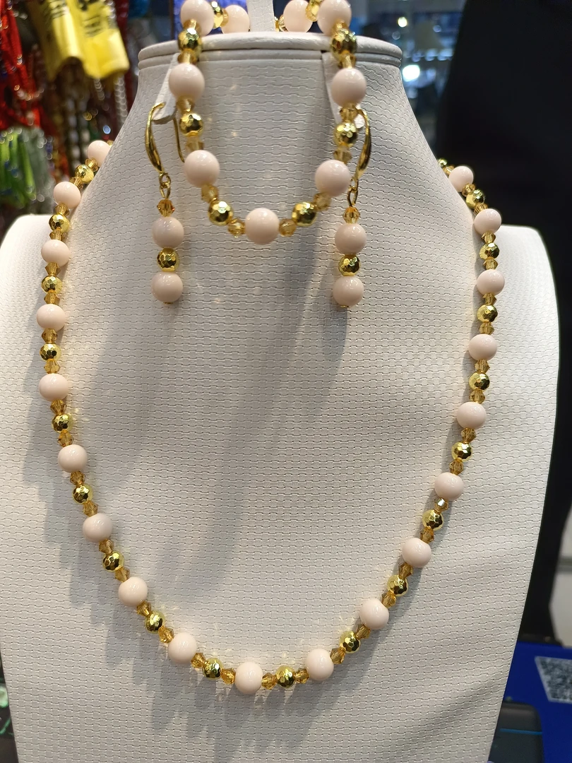 不锈钢项链 非常美丽的珊瑚。