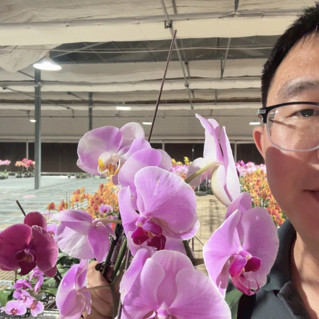完全开放022明星聚宝新朋友玉玲珑三颗花后