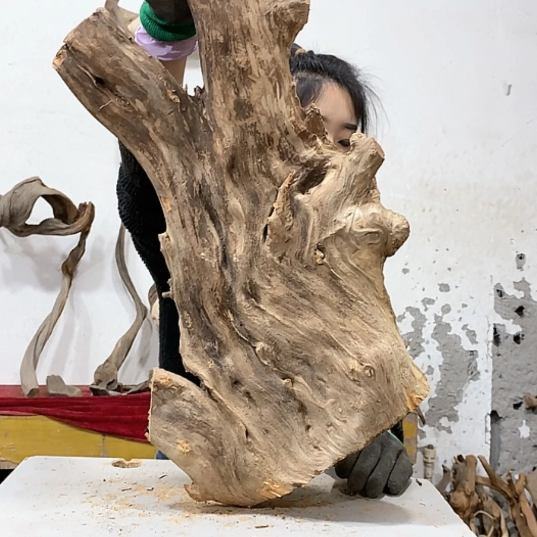 【闪购商品】柏木阿****装我们都是好孩子