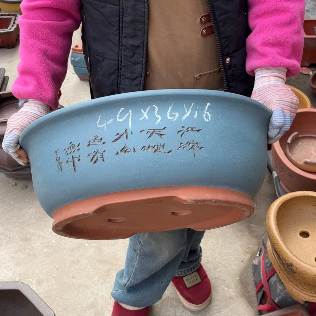 紫砂花盆盆景艺术