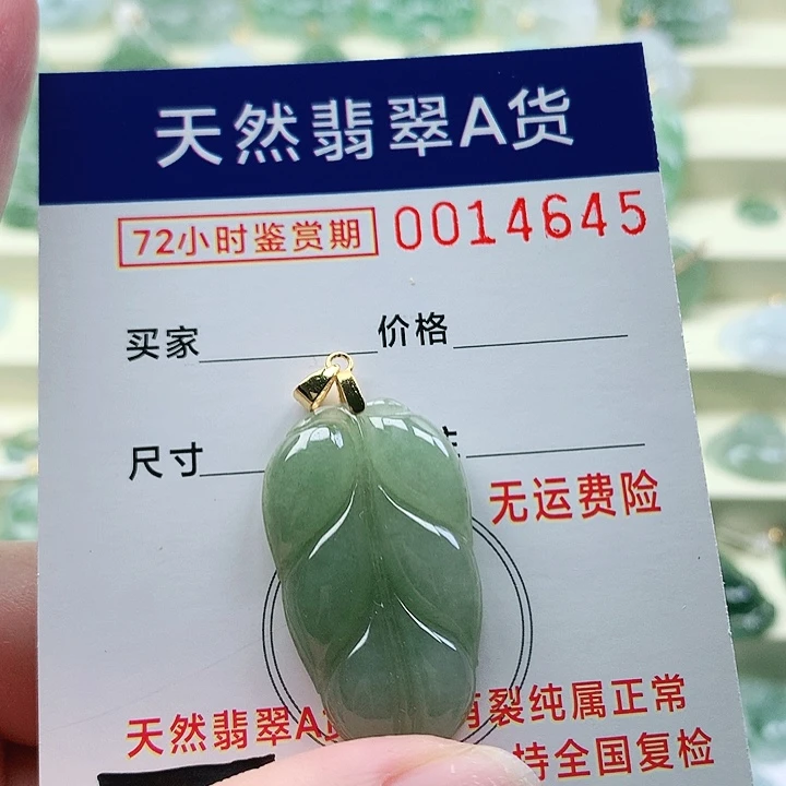 颈饰未镶嵌翡翠吊